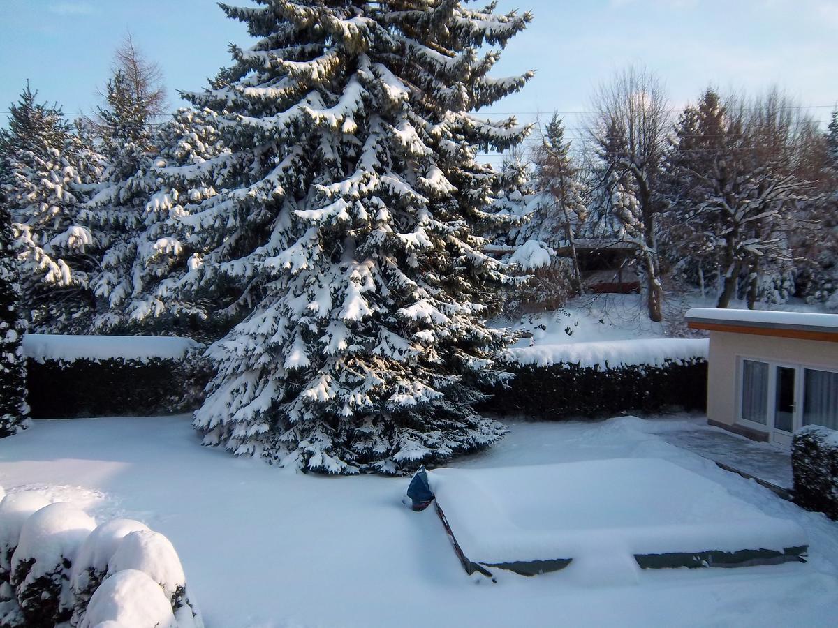 Hotel & Pension Assmann Hochkirch Εξωτερικό φωτογραφία