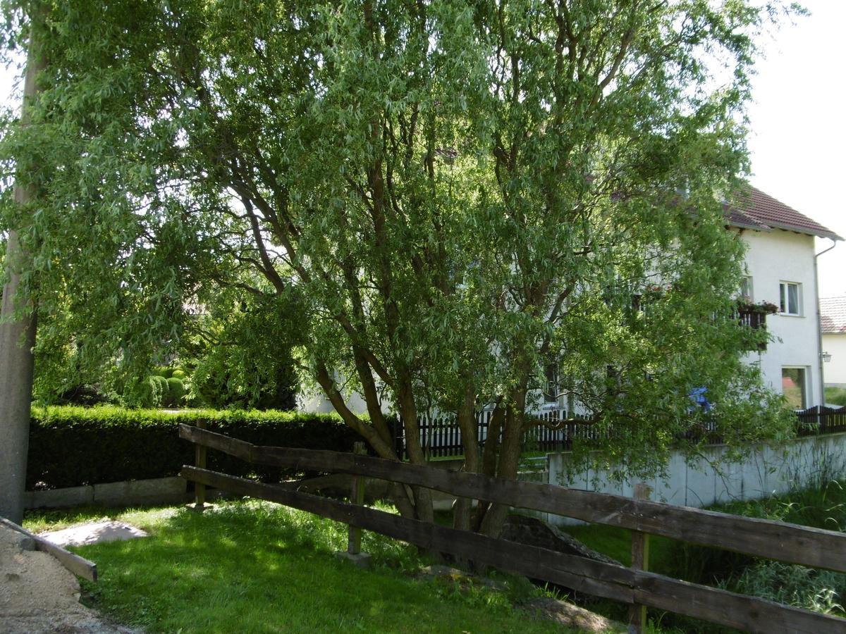 Hotel & Pension Assmann Hochkirch Εξωτερικό φωτογραφία